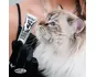 Тинтлайтер SHOW GLOW CARAT
